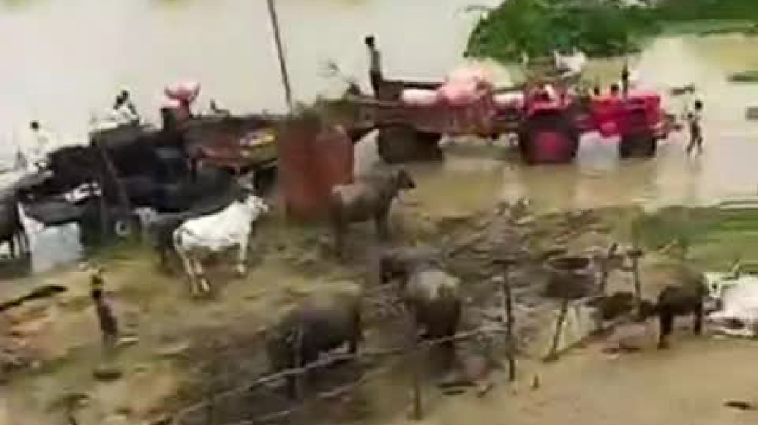 VID_27710414_132802_836