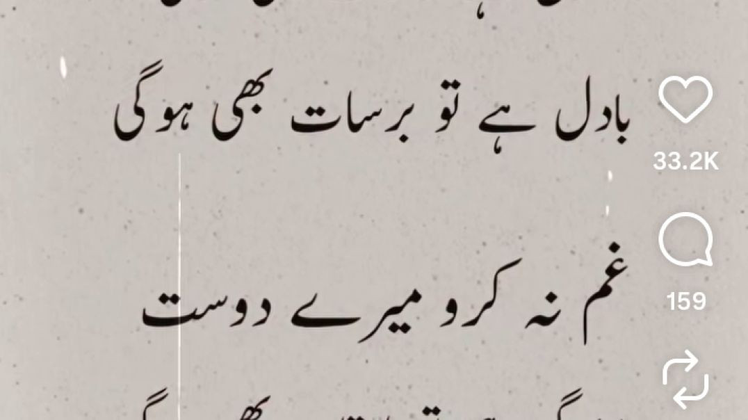 InShot_20251215_152854440