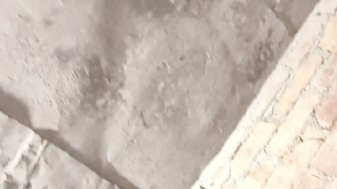 VID_20251208_082052_854