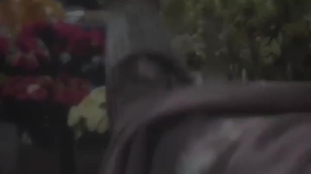 AQNKwB4GOsMu0SljoZVipD8-xxZxfwWVs0CrqadAJaBE58Fu1OQD5WbdOLzikXCWp5lQsQbYpdOqrbHv8UK4mdrCcJu3S3W5-imj