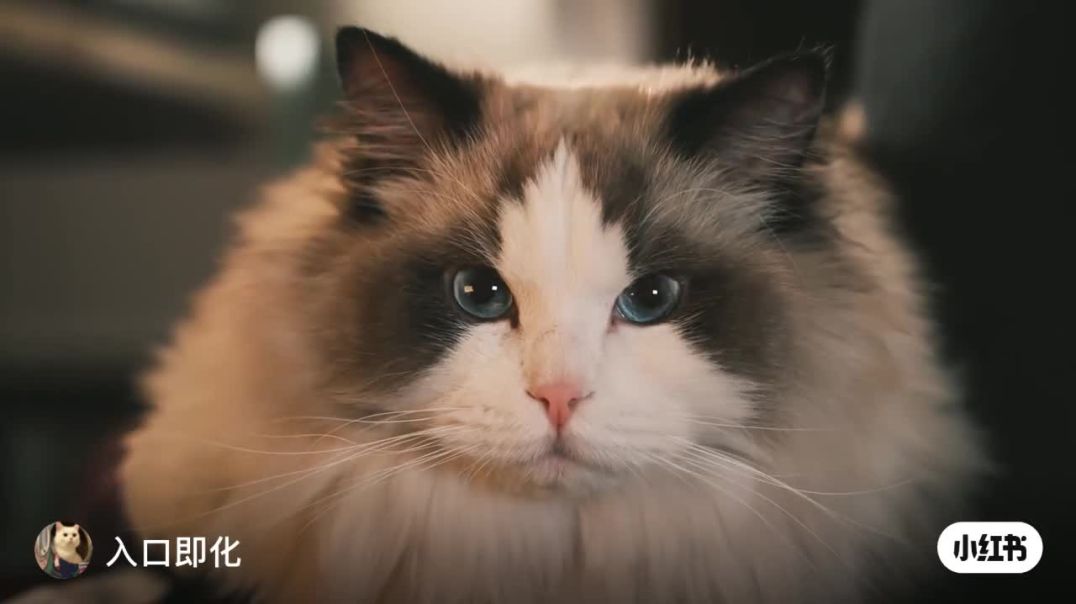 ⁣"Is Cartoon Ne Sabko Hasa-Hasakar Pagal Kar Diya 😂🔥" 2️⃣ "Aaj Ka Sabse Funny Cartoon 