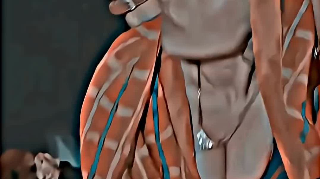 ⁣Tere Pyar Mein Main Marjawan | Hogi Pyar  <br>Ki Jeet | Ajay Devgn, Neha | JaspinderNarula,  <br>Roo