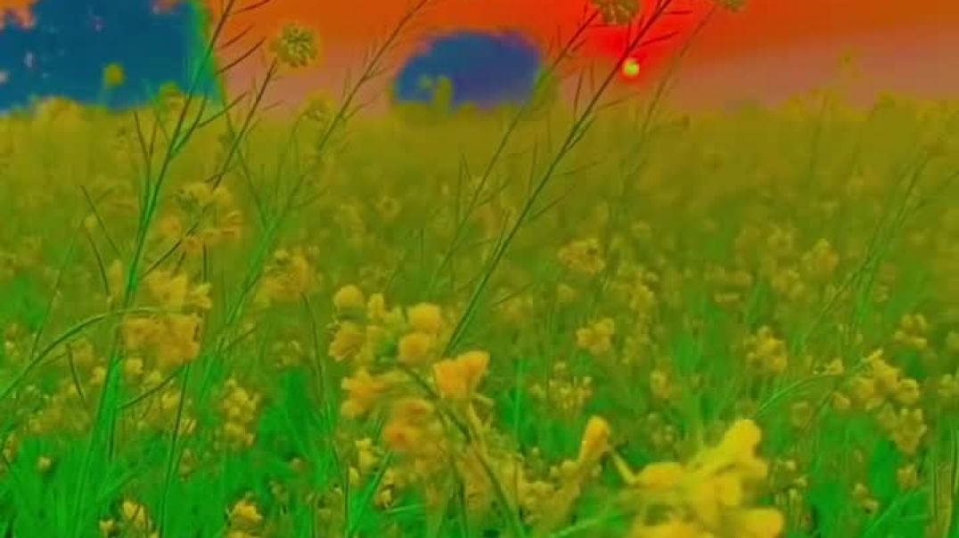 ⁣मेरा देश