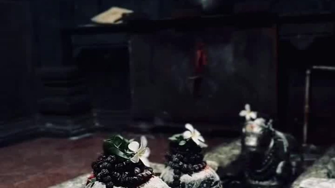 All_Video_Downloader_Webvv_1754275447033