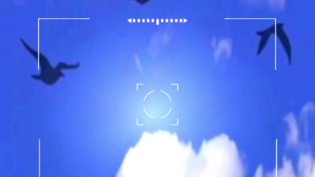 ⁣Islamik status videos short