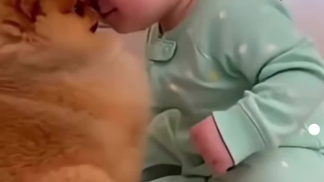 VID_20251130_160528_826