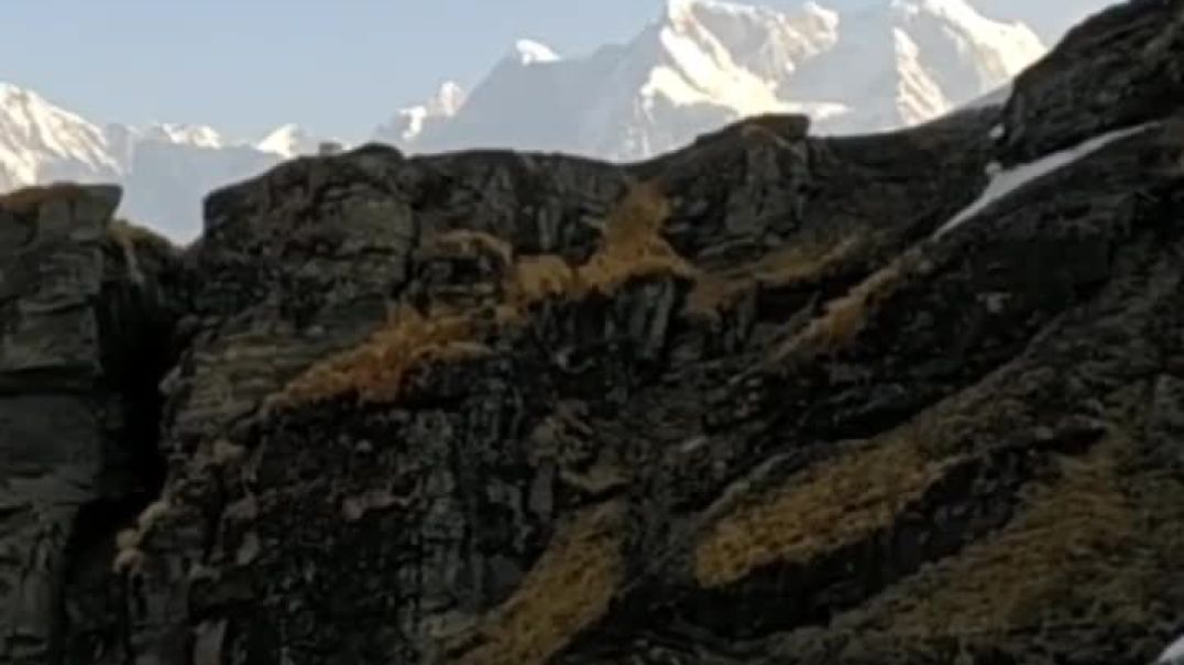 ⁣tungnath_temple-20241031-0001