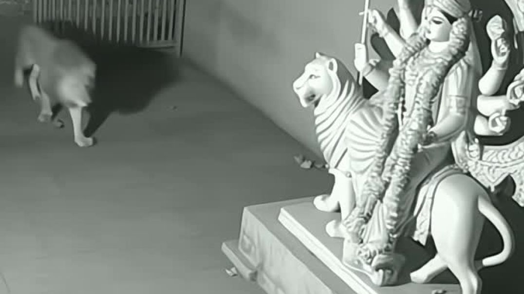 ⁣सीसीटीवी में साक्षात चमत्कार देखने को मिला जय माता दी 🚩🙏 रिकॉर्डिंग 1