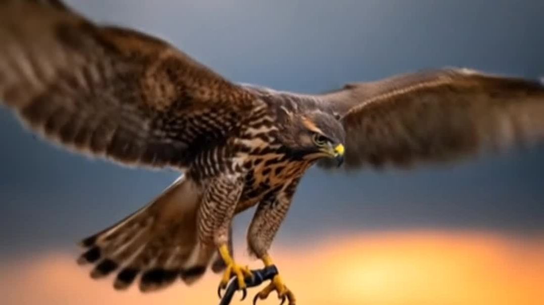 InShot_20251231_172400823