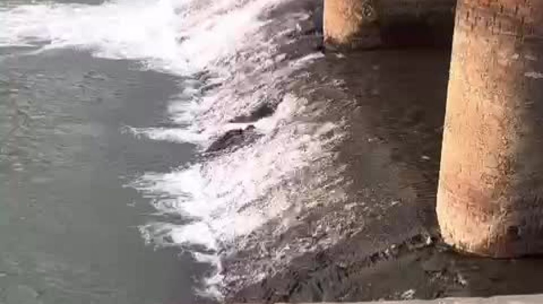 ⁣VID-20251214-WA0000