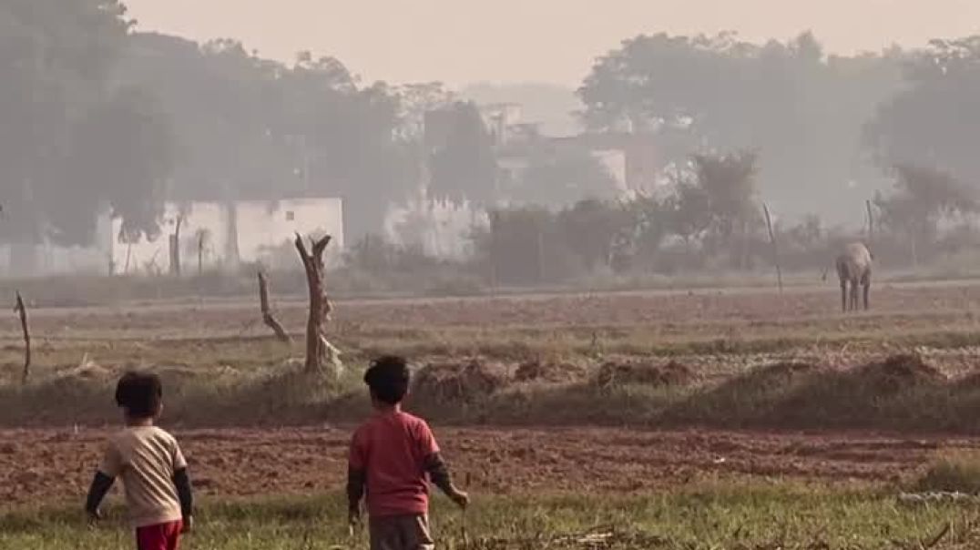 ⁣Bhai Bhai hota h❤