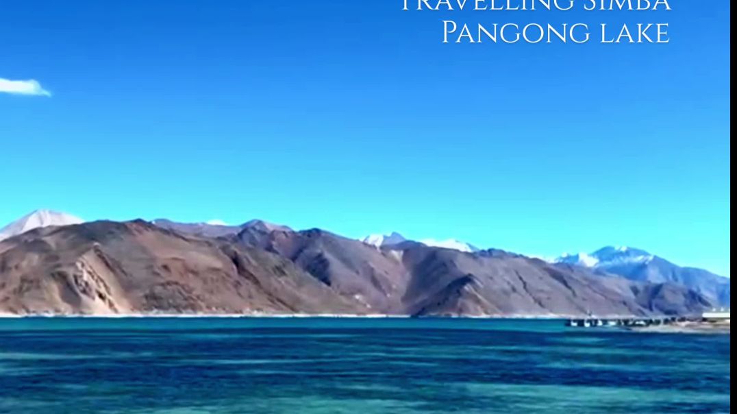 VID_20251214_030441_390_bsl