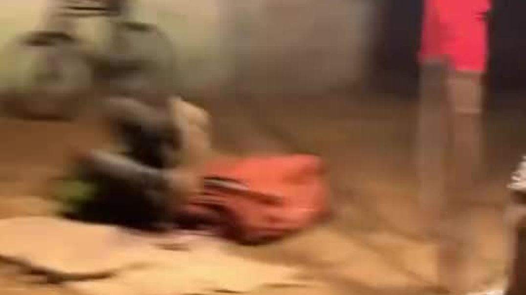 VID_20251206_092702_216