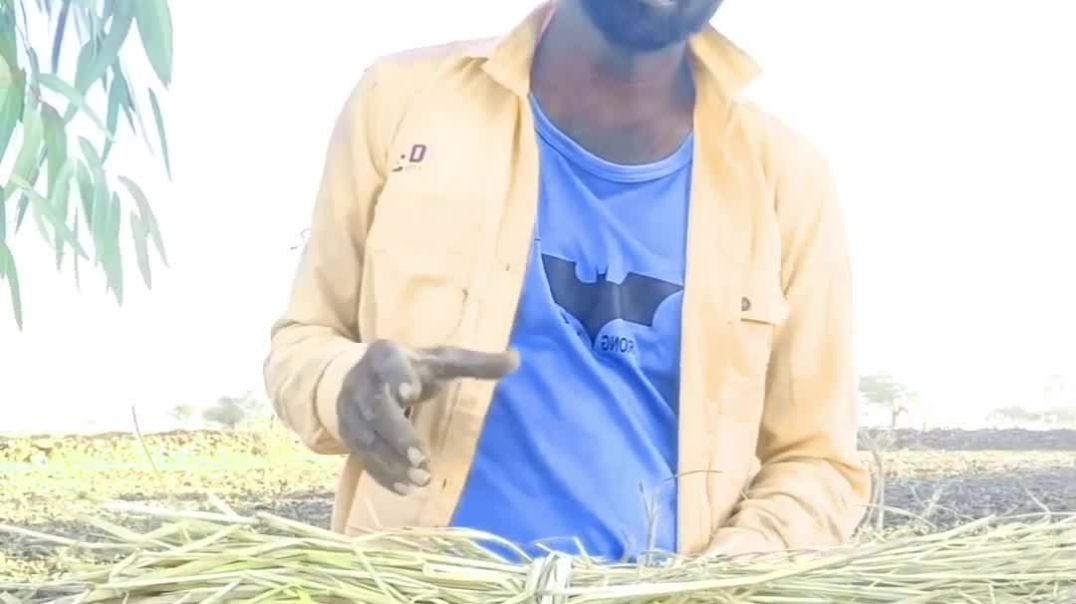 ⁣#instagram #trendingreels #instagood  #viralvideos  #instadaily  #instaexplore  #viral  1,740  #inst