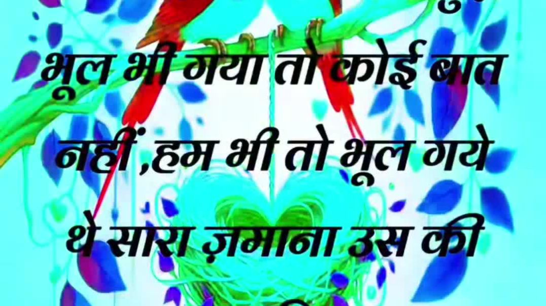 #sedvideos #sedsayari