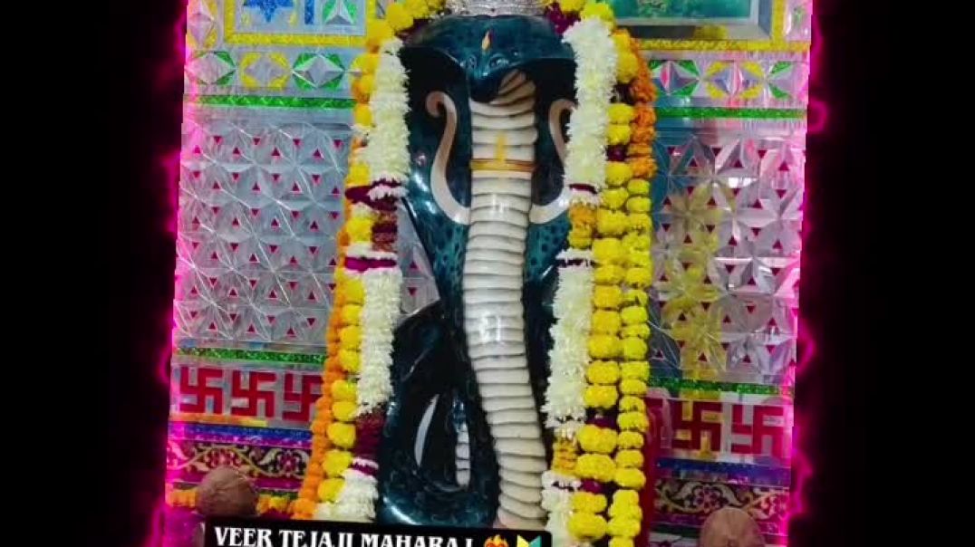 ⁣Jay veer tejaji ❣️💝