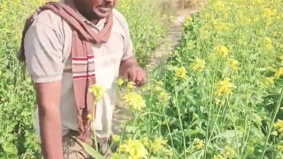 मेरी_जिंदगी_है_तू🤩__comedy__funny__jesus__fan__reels__shorts__saddam__ytshorts__instagram__trending_