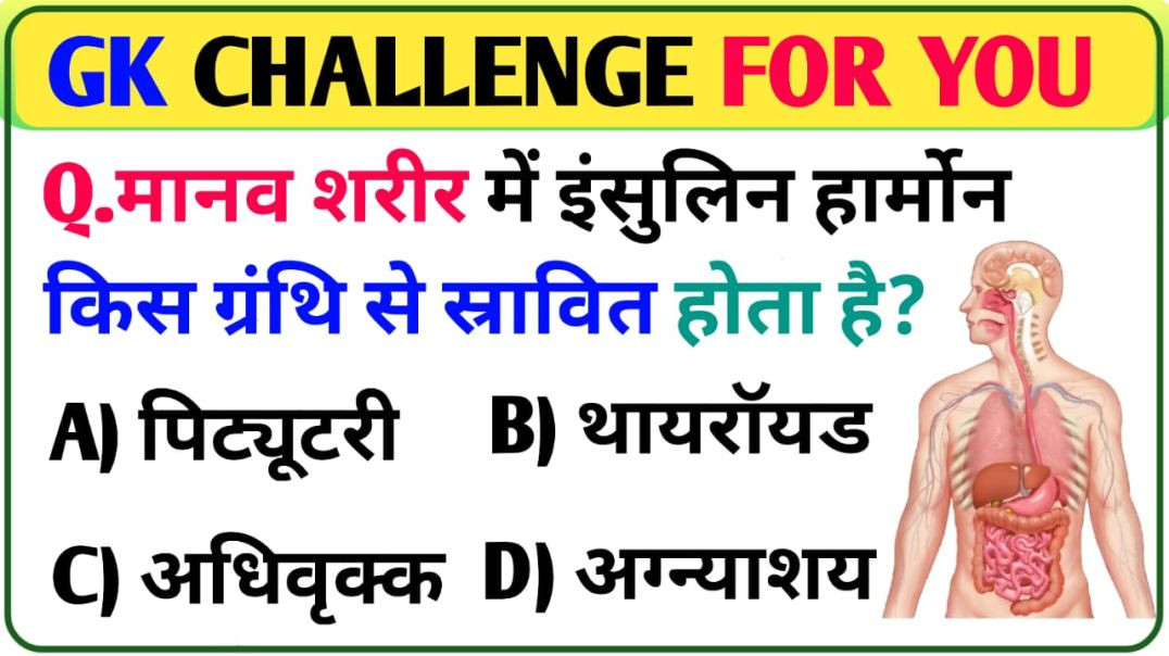 ⁣GK || GK In Hindi|| Most Important GK Questions || GK Question and Answer || GK Quiz ||