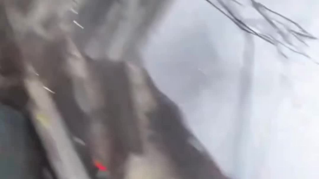 VID_20251208_075649_263