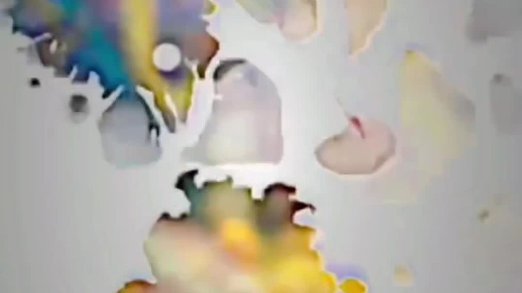 VID_20251209_025053_135