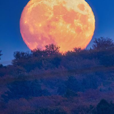 Apnabharatश्रेष्ठ