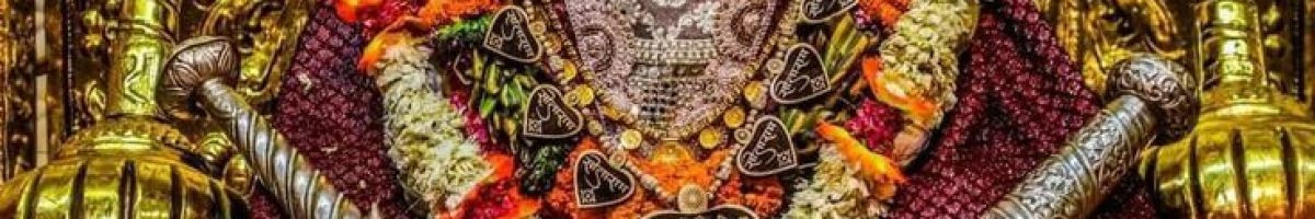 Bageswardhamsarkar Bageswardhamsarkar