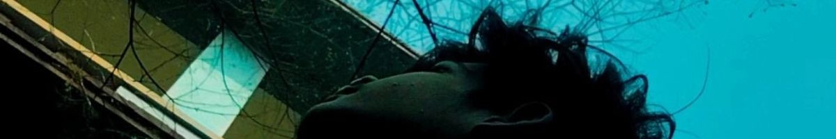 109081039734784254510 