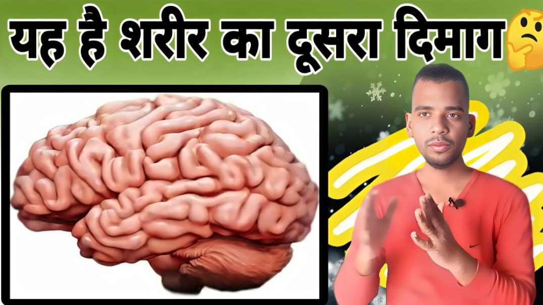⁣ये है शरीर का दूसरा दिमाग | Body | Second | Brain | Mind | AC Prashant