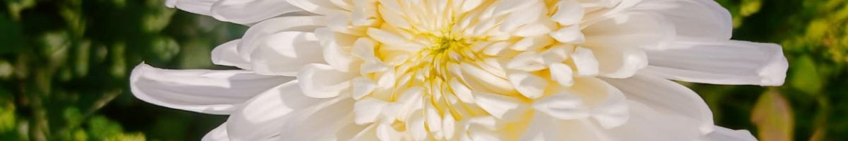 crazy_gaming_929 crazy_gaming_929