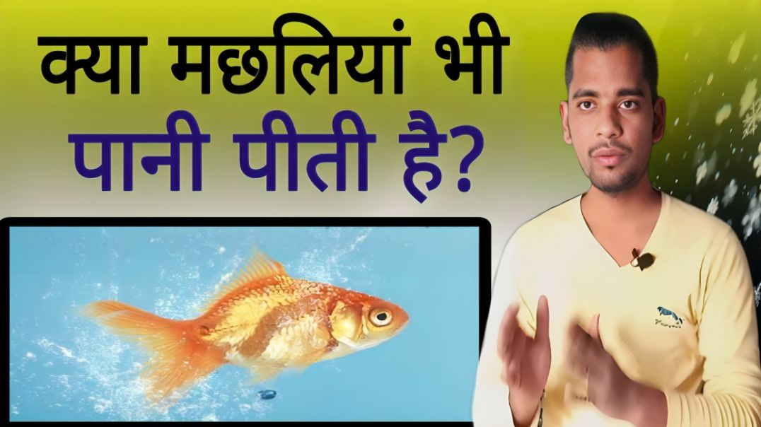 ⁣क्या मछलियां पानी पीती है? | Fish | Water | Drink | AC Prashant