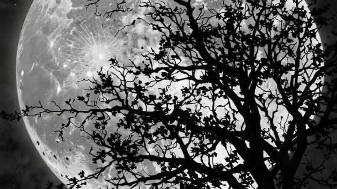 Koy n putt 😂😂😂😂