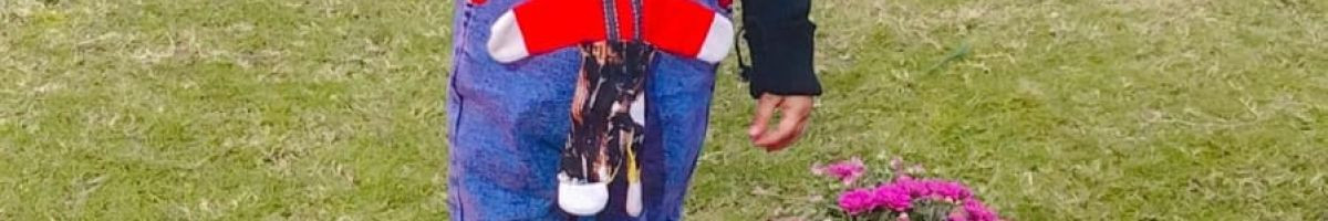 113051801980790940388 