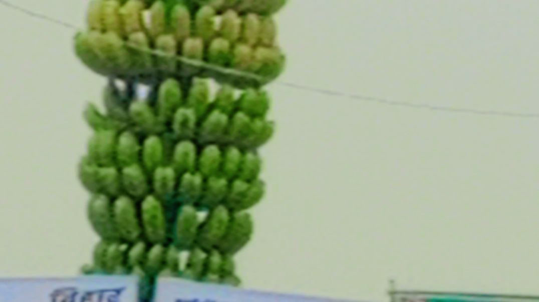 ⁣Snapchat-561252784