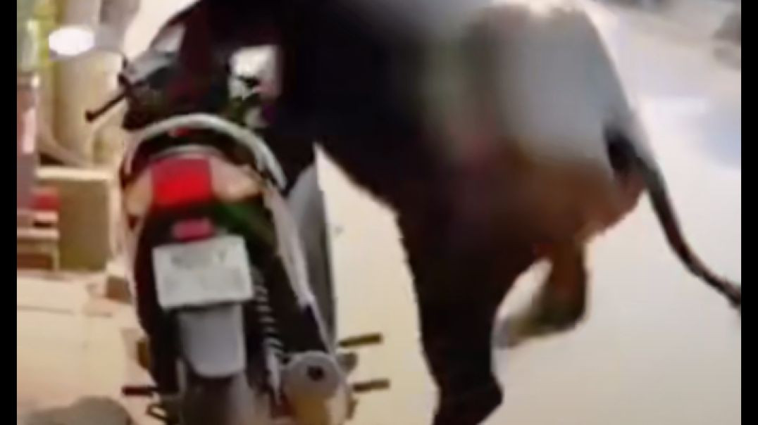 ⁣Electri bill try not to laugh challenge 🤣 #funny #reelschallenge