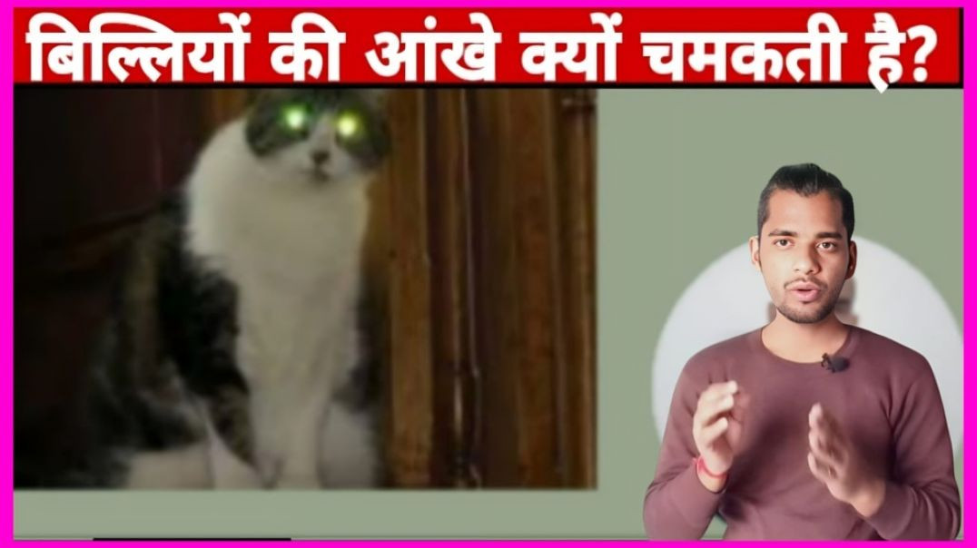 ⁣why cat eyes shines in night fact by ac prashant