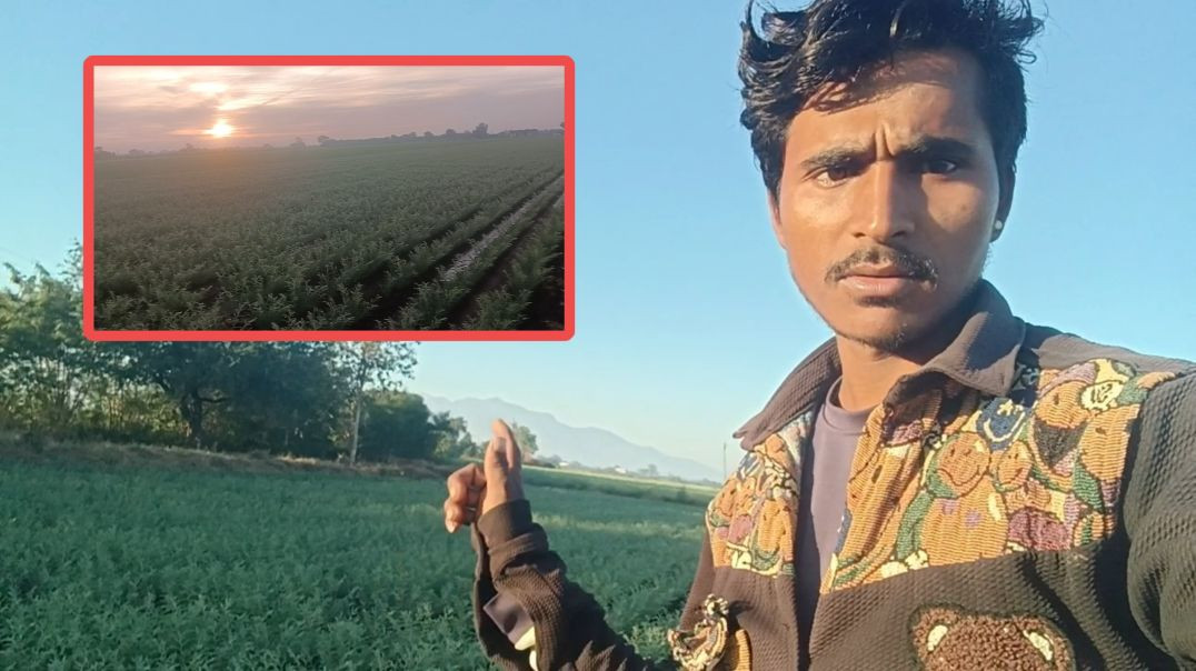 आदिवासी वीडियो लालू सोलंकी ब्लॉक