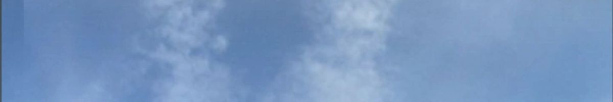 officialajayshayar officialajayshayar