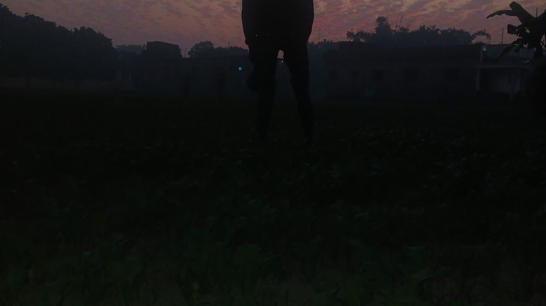 VID_20251205_234629_593_bsl