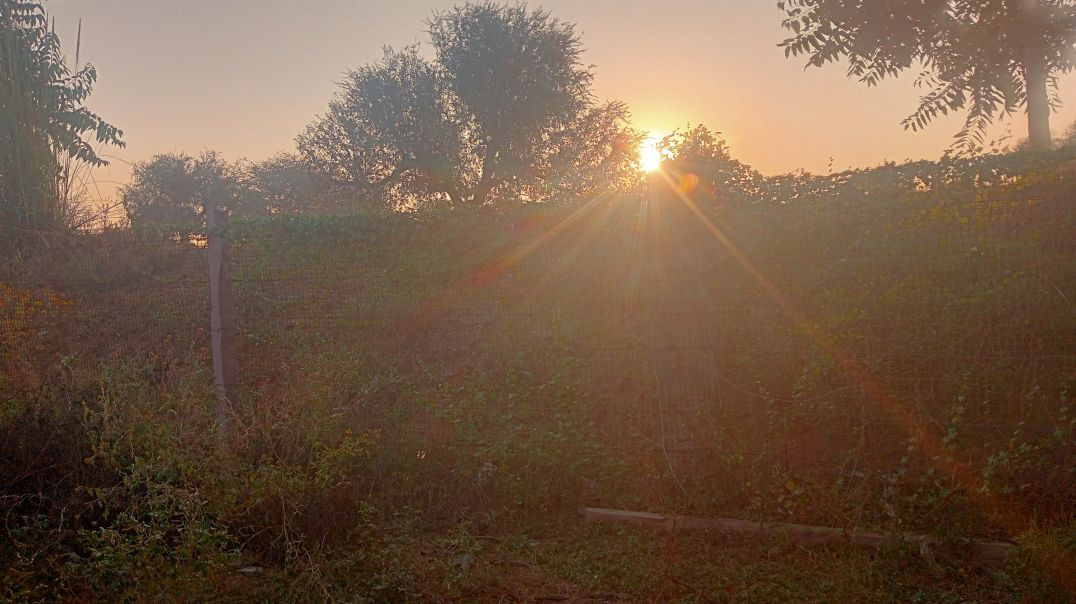 ⁣गो शाला बलोक विडियो