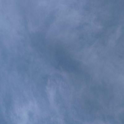 111660889715684737307 