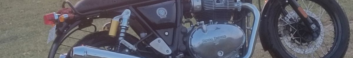 102037379477807066141 