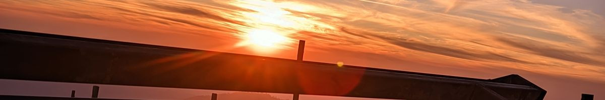 117452488683721555865 