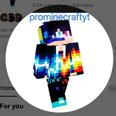 prominecraftyt prominecraftyt