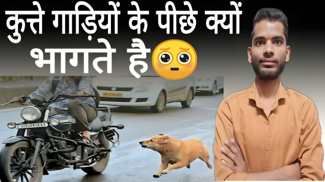 ⁣कुत्ते गाड़ियों के पीछे क्यों भागते है | Dogs | Kutte  | Run | AC Prashant