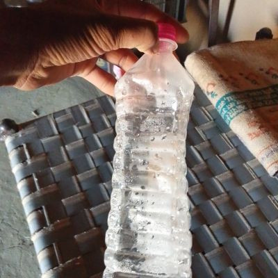 101662757566478475284