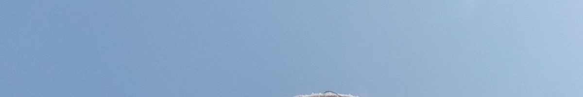 100466068497224018483 