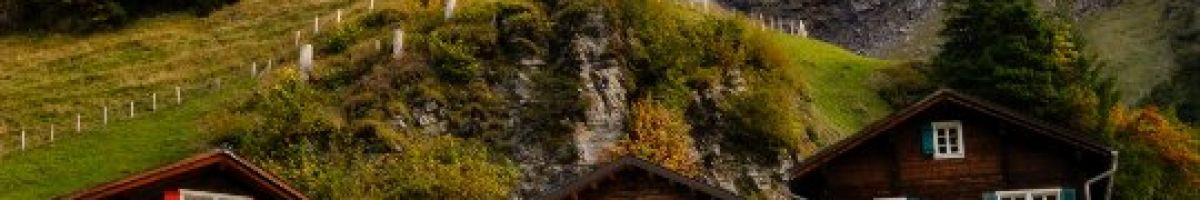 113809796805091764494 