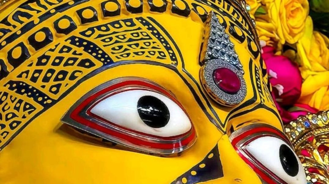 InShot_20251218_183534212