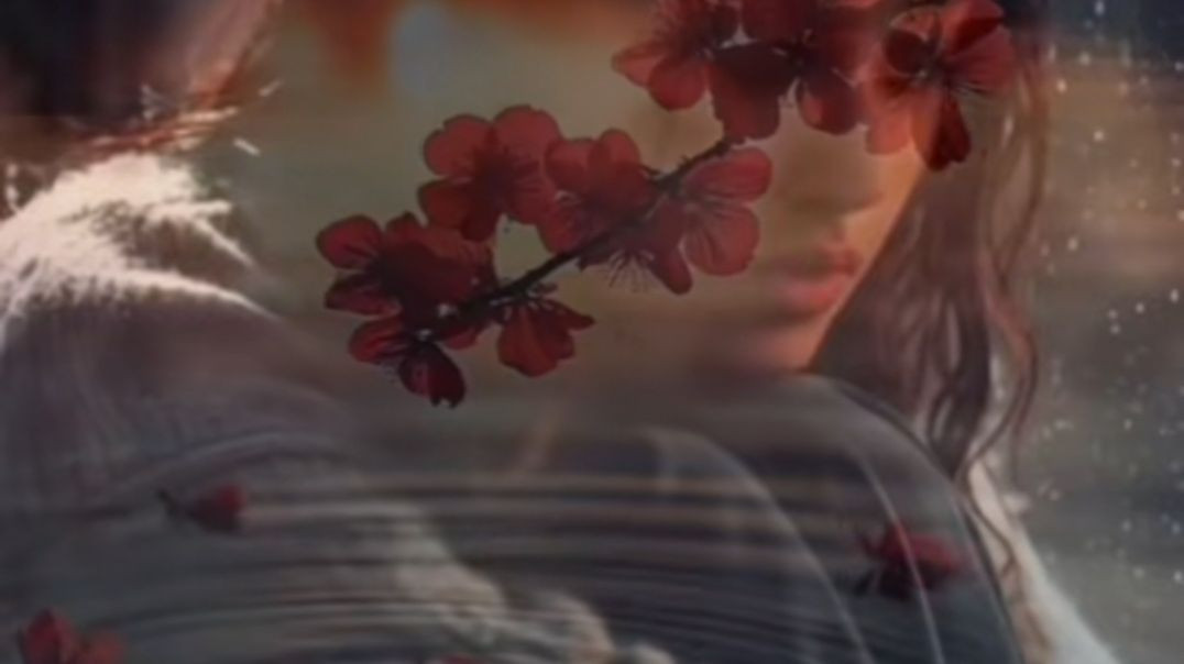 ⁣Videoइस नज़र को ना नज़र लगा तू…सालिया पड़ी तू आके इस दिल में बस जा तू…