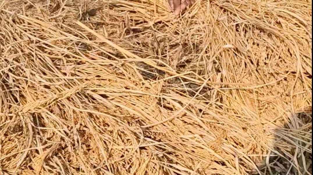 ⁣Khat me kaise kaam karte hai